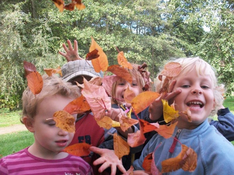 LITTLE BIRD Portal :: Day-care center :: Waldkindergarten Märchenwald